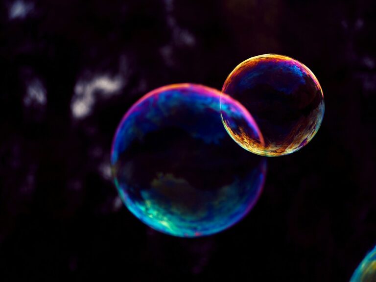 An article on: Project bubble – true or false?